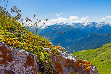 Similar image 21808042