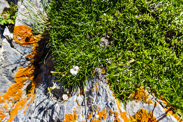 Similar image 21808044