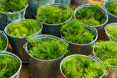 Similar image 21808047