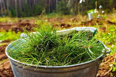 Similar image 21808048