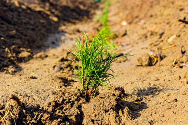 Similar image 21808049