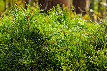 Similar image 21808050