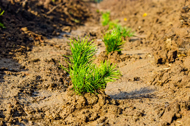 Similar image 21808051