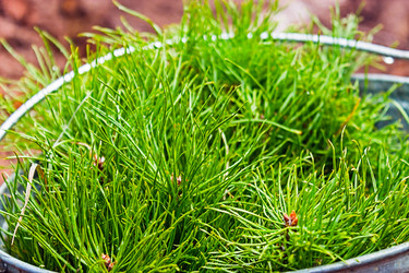 Similar image 21808052