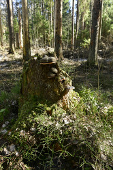 Similar image 21808392