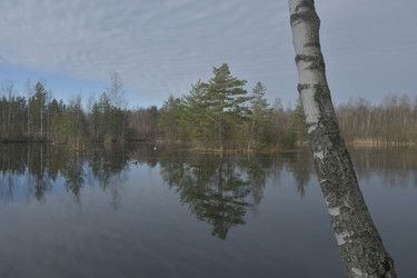 Similar image 21808393