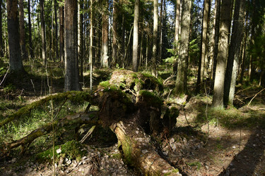 Similar image 21808394