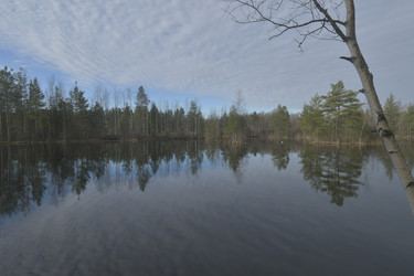 Similar image 21808395