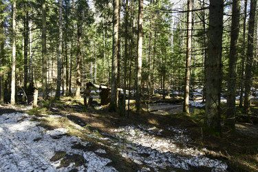 Similar image 21808396