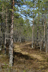 Similar image 21808397