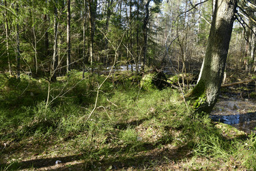 Similar image 21808398