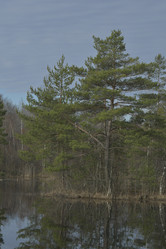 Similar image 21808399