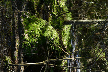 Similar image 21808400