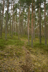 Similar image 21808401