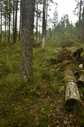 Similar image 21808403