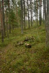 Similar image 21808405