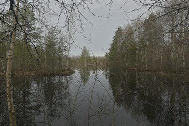 Similar image 21808406