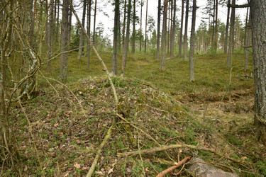 Similar image 21808407