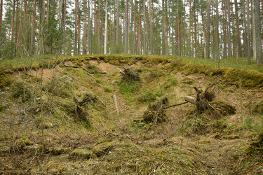 Similar image 21808409