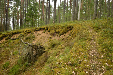 Similar image 21808410