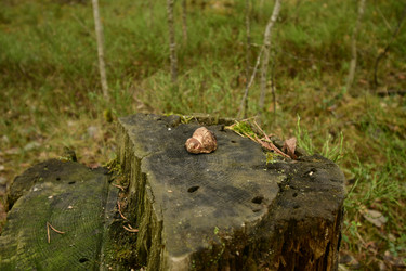 Similar image 21808411