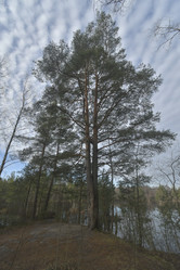 Similar image 21808412