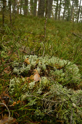 Similar image 21808413