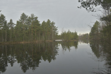 Similar image 21808416