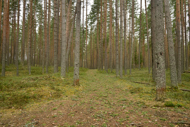 Similar image 21808417