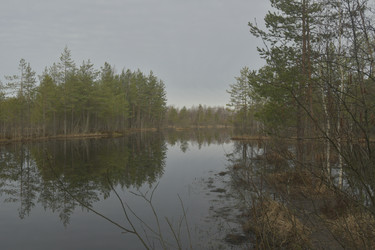 Similar image 21808418