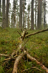 Similar image 21808421