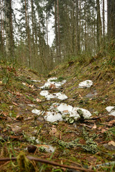 Similar image 21808422