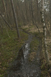 Similar image 21808423