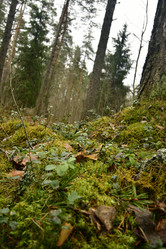 Similar image 21808424