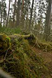 Similar image 21808425