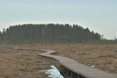 Similar image 21808426