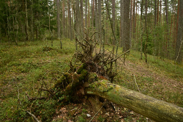 Similar image 21808427