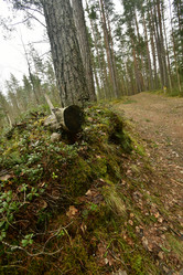 Similar image 21808428