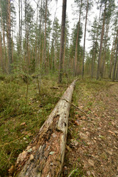 Similar image 21808430