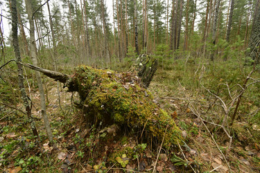 Similar image 21808431