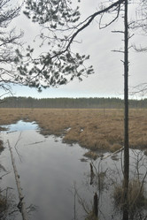 Similar image 21808432