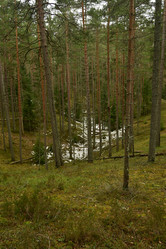 Similar image 21808434