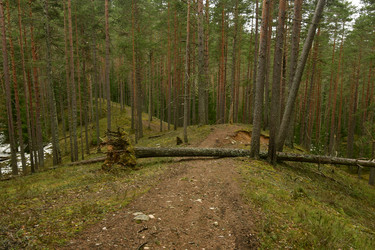 Similar image 21808435