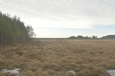 Similar image 21808436