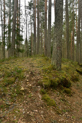 Similar image 21808437