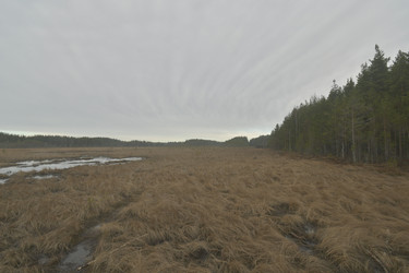 Similar image 21808438