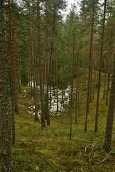 Similar image 21808439