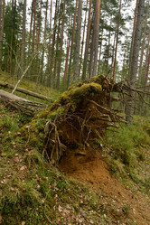 Similar image 21808440