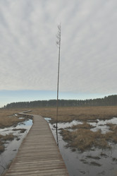 Similar image 21808441