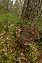 Similar image 21808442